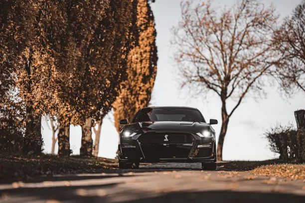 Καζίνο Λιον Γουινς Εφαρμογή Android/iOS